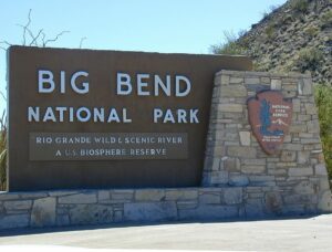 Are Dogs Allowed In Big Bend National Park