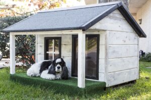 How Big Should A Dog Kennel Be